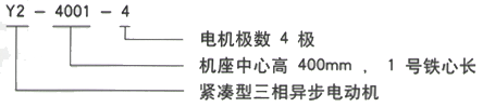 YR系列(H355-1000)高压YKS5007-10/500KW三相异步电机西安西玛电机型号说明